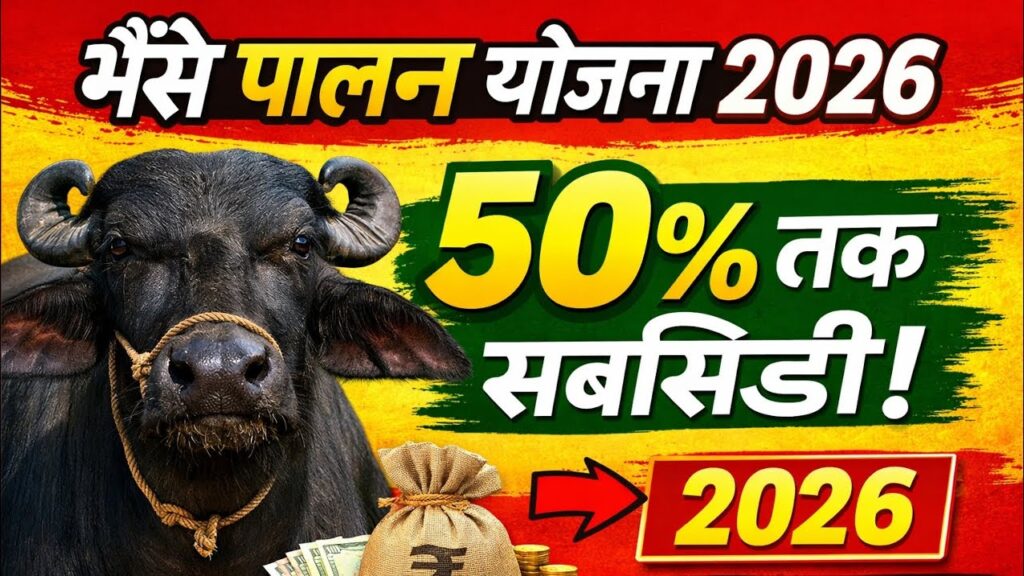 business loan new rule